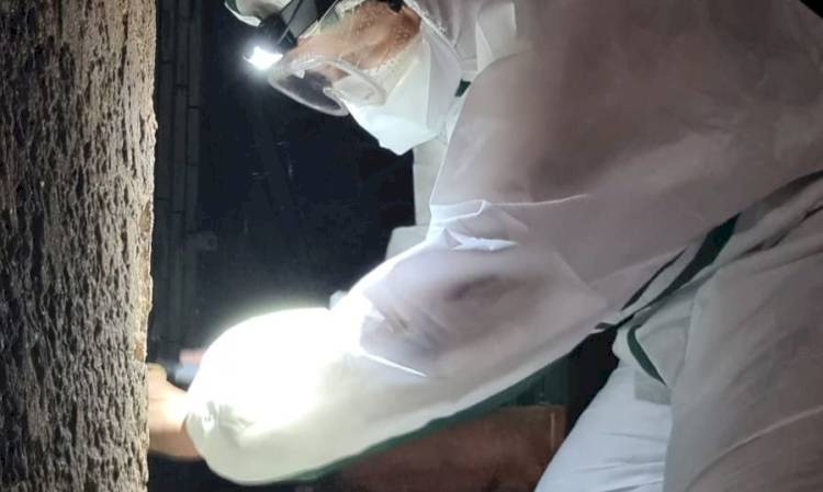 Diagnostics Amiante de nuit à Saint-Martin-de-Crau